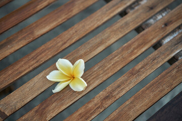 Obraz na płótnie Canvas Yellow flower lying on wooden brown boards