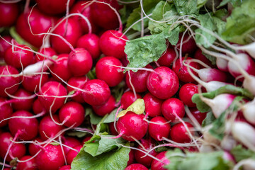 Radishes on display at a farmers market