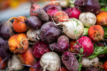 Colorful radishes on display at a farmers market