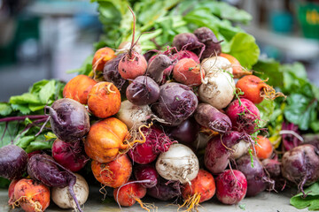 Colorful radishes on display at a farmers market