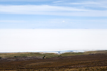 Fototapeta premium Grass and salt flats in Bolivia