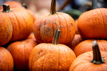 Pumpkins on display at a farmers market