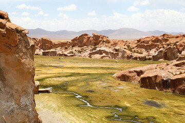 Fototapeta na wymiar Rocks and grassland in Bolivia