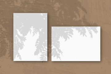 Horizontal and vertical sheets of white textured paper against a brown wall background. Mockup with an overlay of plant shadows. Natural light casts shadows from a Rowan branch