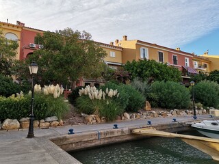 Colorful houses plants and boarding