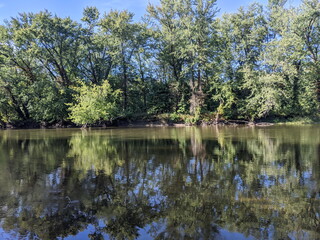 A river flowing through the woods