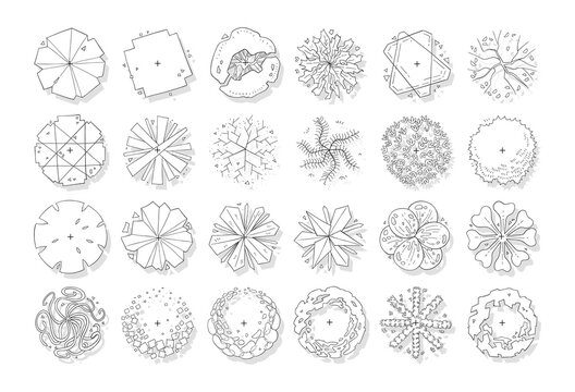 vector of top view tree set, hand drawn sketch isolated on white background