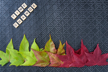 Gradation of fall leaves from green to red on a black patterned background, with the words “time change”
