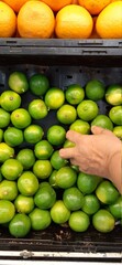 verduras