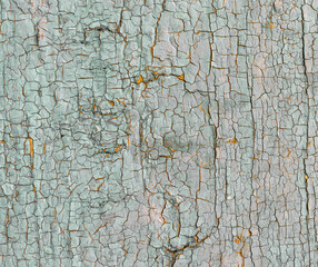 Fototapeta na wymiar Wooden Rustic Wall. Blue Shabby Surface. Painted 
