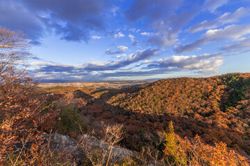 12月遅めの紅葉