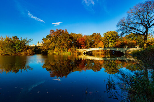 Central Park bridge, fall