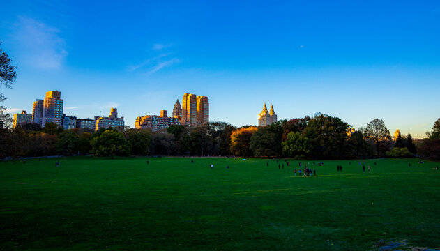 Late afternoon Central Park, fall