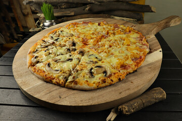 delicious giant large two flavor pizza