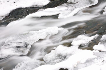 Fototapeta na wymiar Winter Scenic in Mt. Rainier, WA