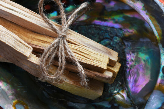 A top view image of several wooden palo santo smudge sticks in an abalone shell. 
