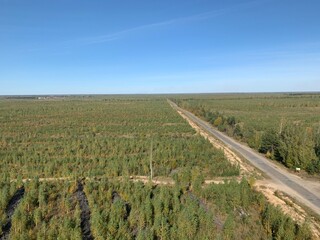 Obraz premium field of wheat