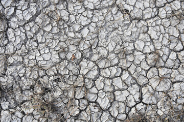 An abstract image of very hard and dry crack soil with blades of dead grass. 
