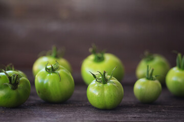 Green tomatoes in a row in a rustic wood background  