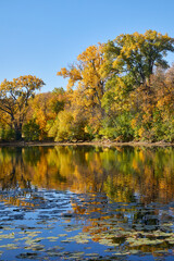 Autumn day with leaves changing beautiful colors and reflecting yellow orange in lake