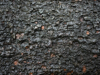 Surface of decay wood wet from rain
