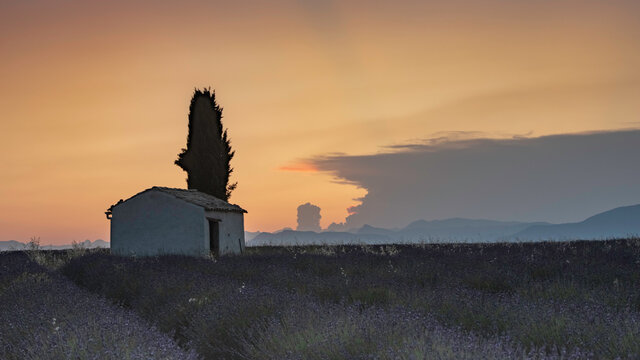 Sunrise over a hovel in a lavender field - Valensole - France - June 2019