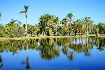 Fototapeta na wymiar Fairchild tropical botanic garden in Miami, FL, USA