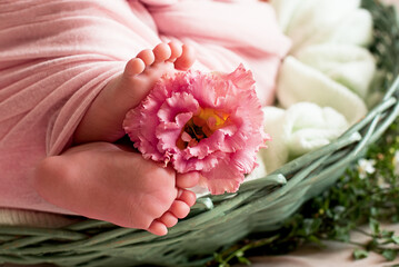  feet of the newborn baby with flower, fingers on the foot, maternal care, love and family hugs, tenderness