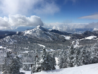 Obraz premium 雪山 志賀高原 冬 日本 アジア