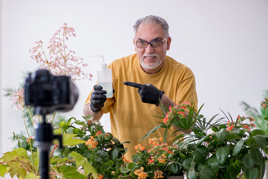 Old male gardener with plants indoors