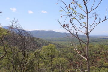 Harvey's range landscape