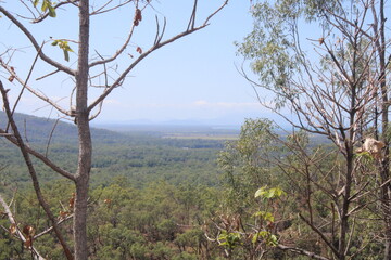 Paluma range landscape