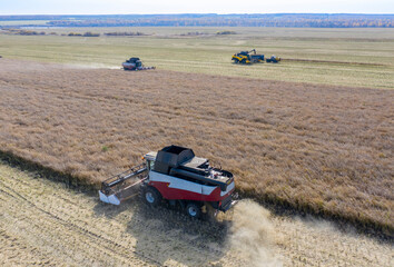 Obraz premium Combine harvesters gathering grain from fields in Siberia, Russia in autumn