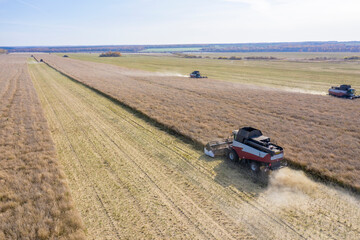Combine harvesters gathering grain from fields in Siberia, Russia in autumn