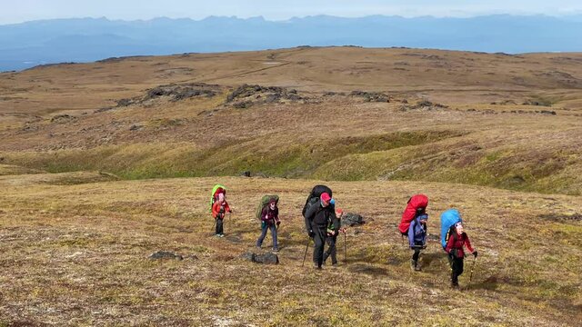 Trekking in Klyuchevskoy volcano park. Travelers with backpacks and trekking poles walk the tundra. Medium shot. Travel to the Kamchatka Peninsula.
