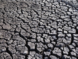 Dry and cracked earth grey background closeup.