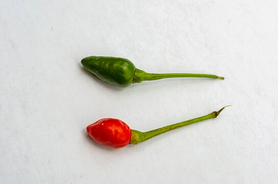 Ripe And Unripe Bird Pepper
