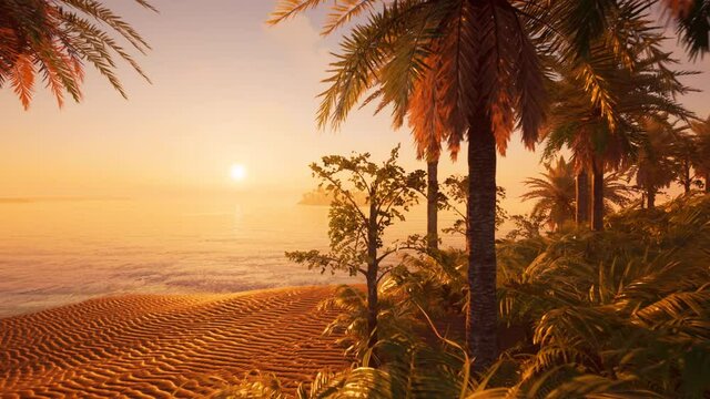 sunset on a summer beach, nature, romantic beach, tropics wildlife