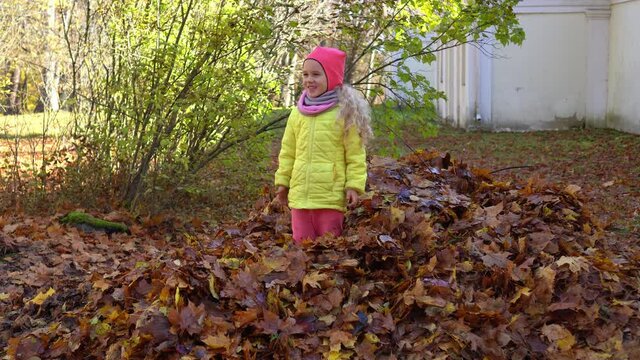 Crazy child girl jumping on colorful autumn leaves pile in house backyard