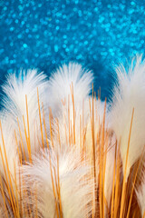 Selective focus of beautiful abstract colorful feathers and soft white feather texture. Idea for wallpaper, postcard, poster design, banner, copy space, close up.