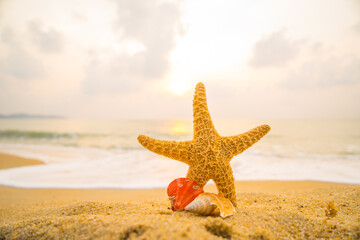 Fototapeta na wymiar Starfish on the beach sunset