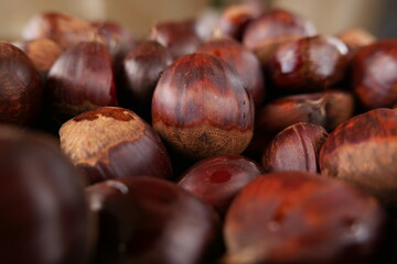 Obraz premium autumn nut chestnut closeup, 밤 클로즈업