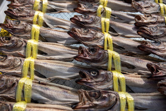 Dried pollock fish in Korean market
