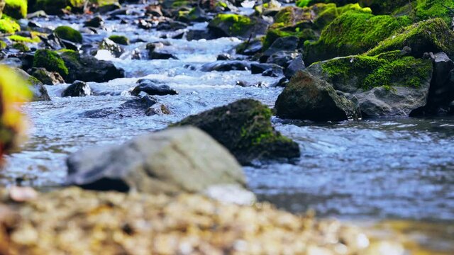 close up view on river with flowing water nature landscape in spring season
