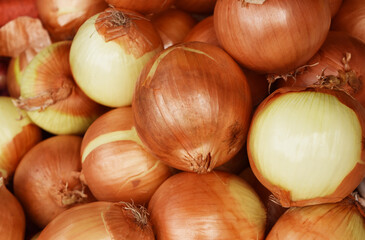Fresh yellow bulb onions, Onions background close up