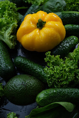 Fresh vegetables, yellow bell peppers, cucumber and salad on a black background.