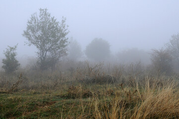 Fuzzy foggy rural landscape