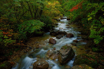 紅葉の始まり、10月の清流湯ノ沢川