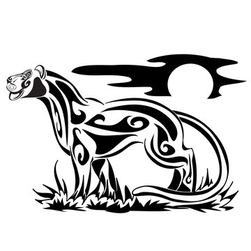 Zoo. African fauna. Puma, leopard, wild cat, coguar, mountain lion. Hand drawn illustration for tattoo design, emblem, badge, t-shirt print. Engraving of wild animal. Classic vintage style image.