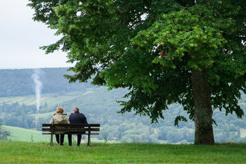 sous un arbre, un couple assis sur un banc regardant un paysage.